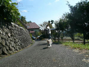 P1050159.JPG