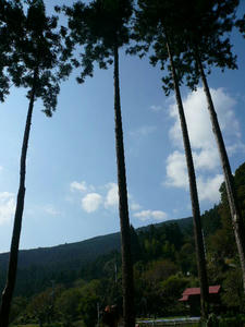 P1050156.JPG