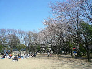 P1060843.JPG