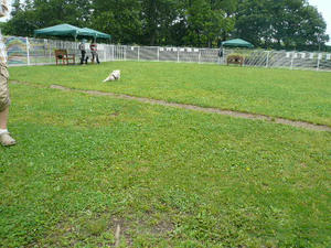 P1070431.JPG