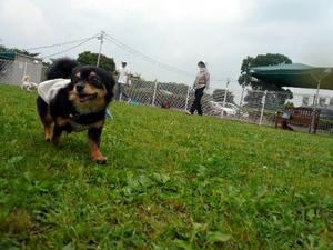 P1070435.JPG