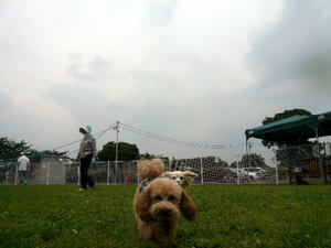 P1070436.JPG