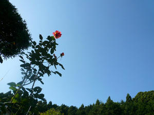 P1080184.JPG