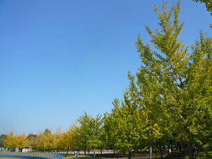P1080545.JPG
