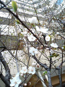 CA3C02250001.jpg