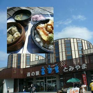 P555.jpg