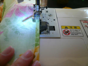P1100063.JPG