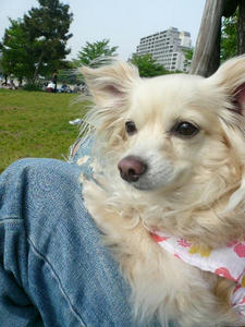 P1100441.JPG