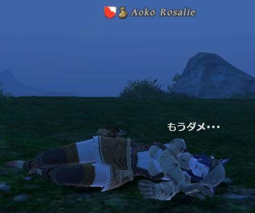 もうダメ･･･