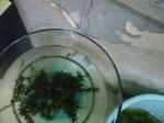 HI3B0135.jpg