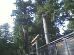 HI3B0149.jpg