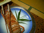 HI3B0154.jpg