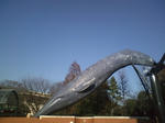 HI3B0202.jpg