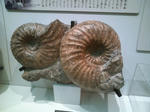 HI3B0200.jpg