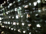 HI3B0198.jpg