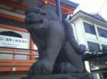 HI3B0218.jpg