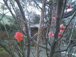 HI3B0233.jpg