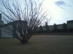 HI3B0231.jpg
