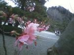 HI3B0250.jpg