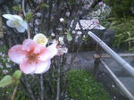 HI3B0259.jpg