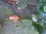 HI3B0338.jpg