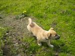 DSCN0119.jpg