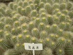 DSCN0102.jpg
