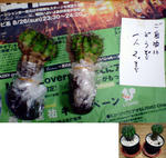 ご自由にどうぞ