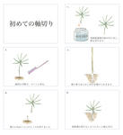 初めての軸切り