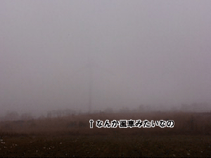 20071111150939.gif