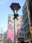 DVC00051.jpg