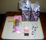 20100809_2.jpg