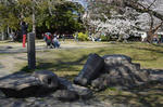 20110417.jpg