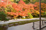 20111125_DS_0695.jpg