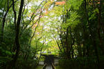20111125_DSC_0112.jpg