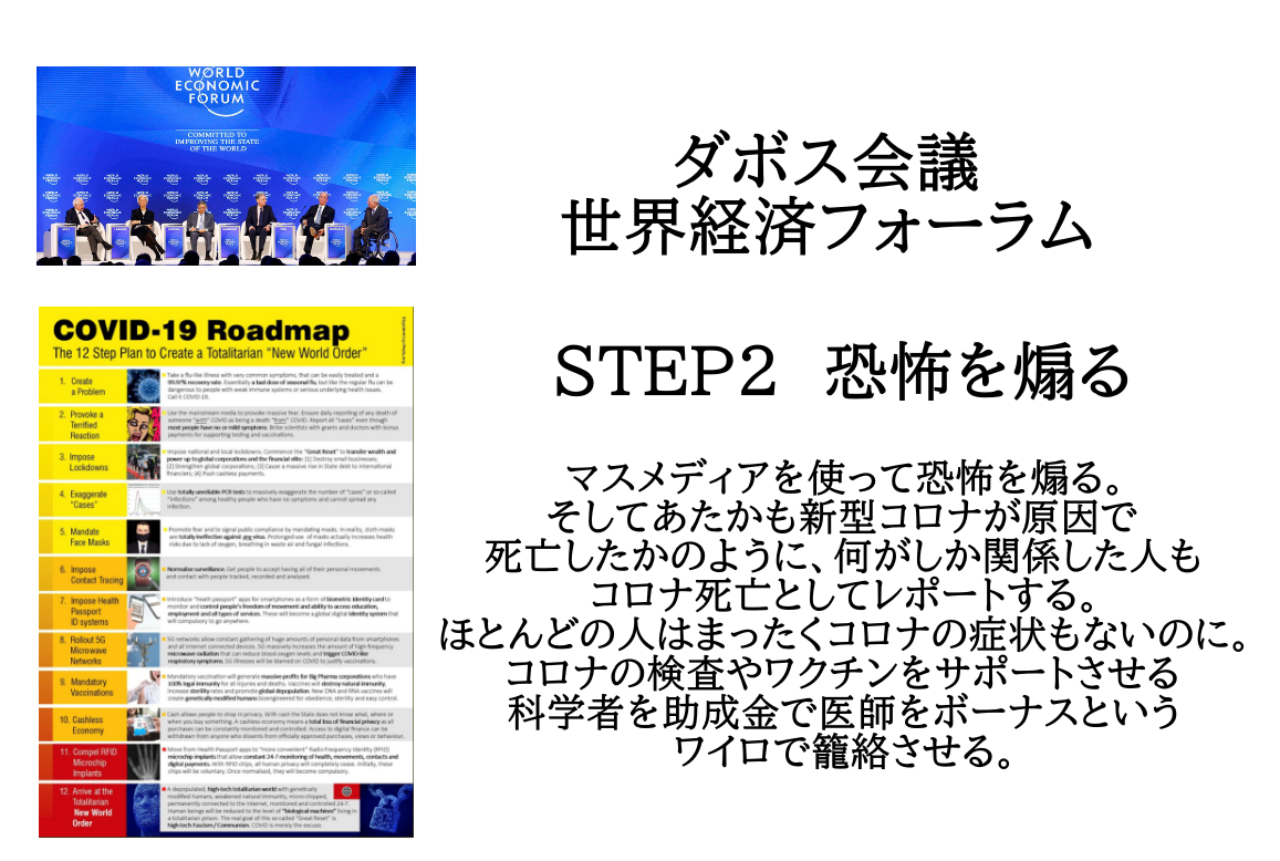 ダボス会議 世界経済フォーラム CORONAVIRUSNWOCOVID-19 Roadmap: 12 Step Plan To Create A Totalitarian New World Order