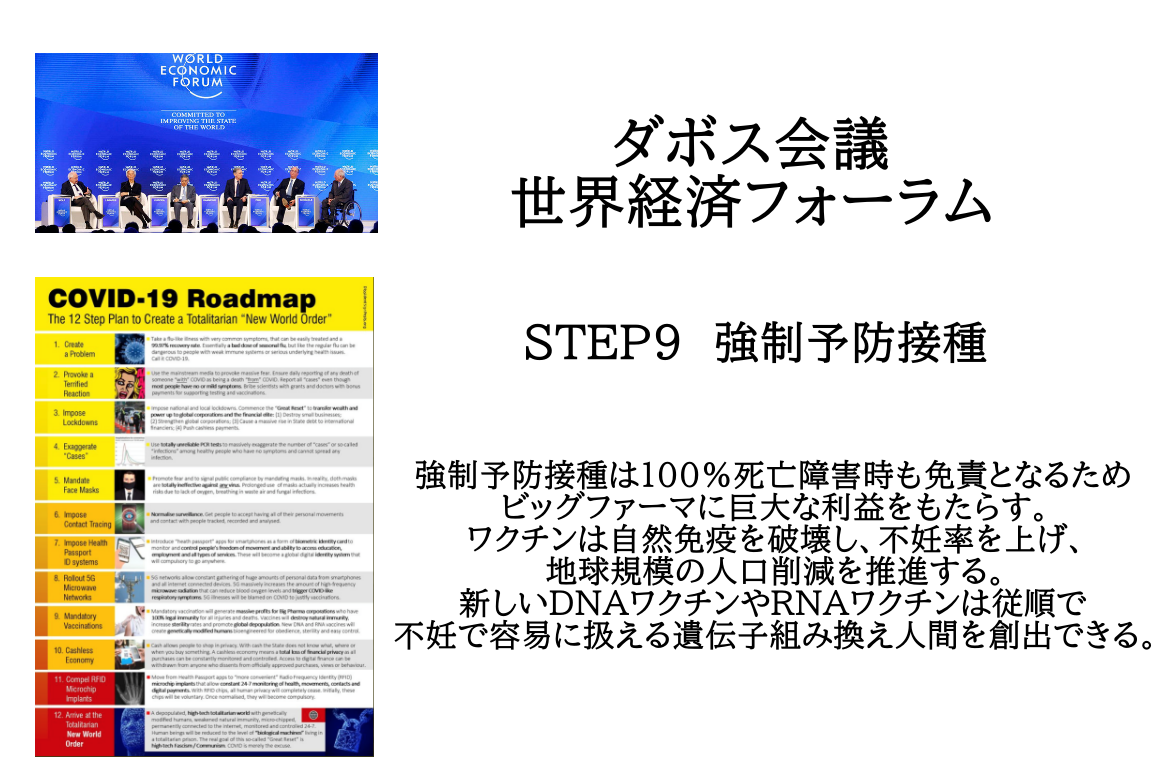 ダボス会議 世界経済フォーラム CORONAVIRUSNWOCOVID-19 Roadmap: 12 Step Plan To Create A Totalitarian New World Order