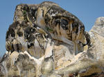 sCIMG0487.jpg