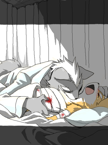219eb7f7.png