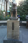 02014ef5.JPG