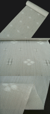 wosuns090407.gif