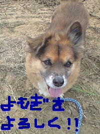 wabi.JPG