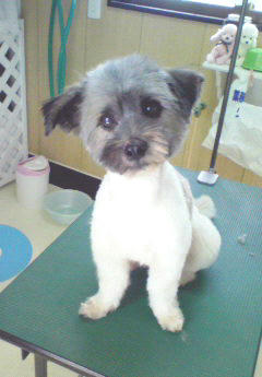 200807141350000.jpg