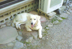 200908141429000.jpg