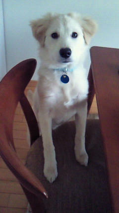 201301221114000.jpg