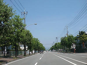 ec06bed8.jpg
