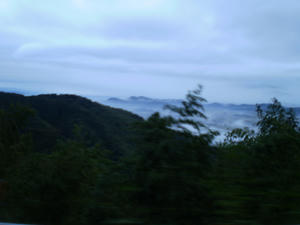 5a770eb1.jpg