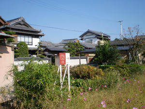 5c6d8362.JPG