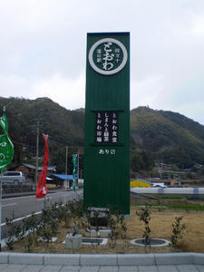 1cfe62e7.JPG