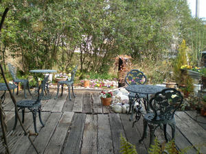 59d436b5.JPG